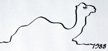 Lineal design based on a camel