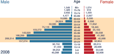 Male – female population tree for 2008