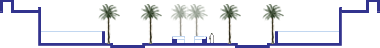 Palm trees in public space