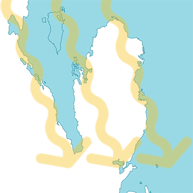 The direction of the prevailing wind over Qatar