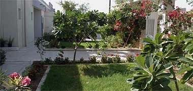 A front garden