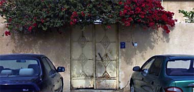 An old entrance gate covered by bougainvillea