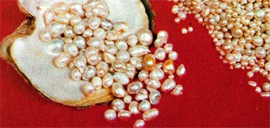 A collection of baroque Gulf pearls from Alfardan