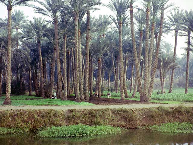 egypt