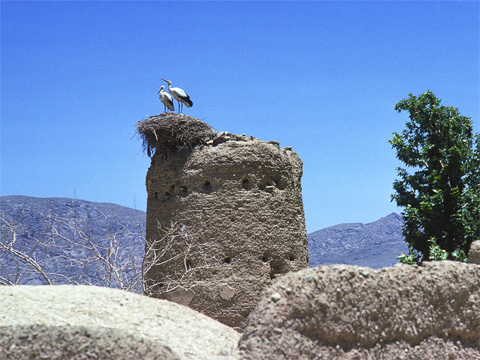 iran