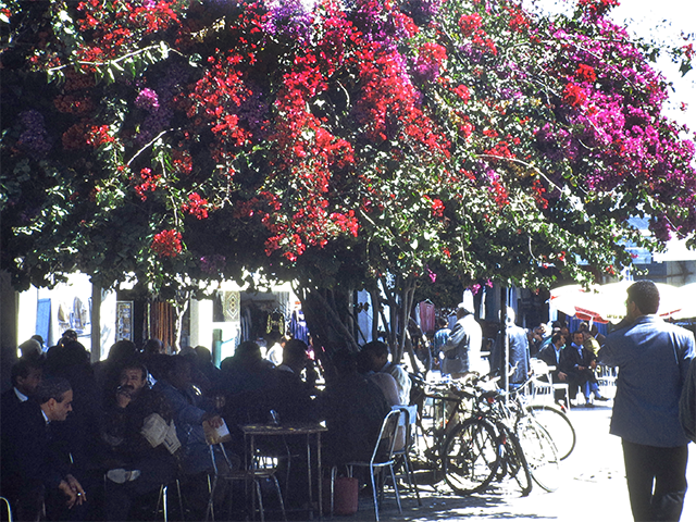 tunisia