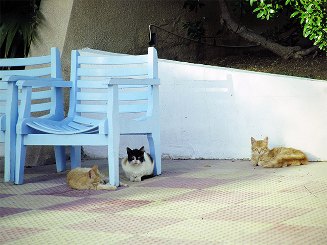 tunisia